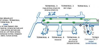 Лакса карте терминал B